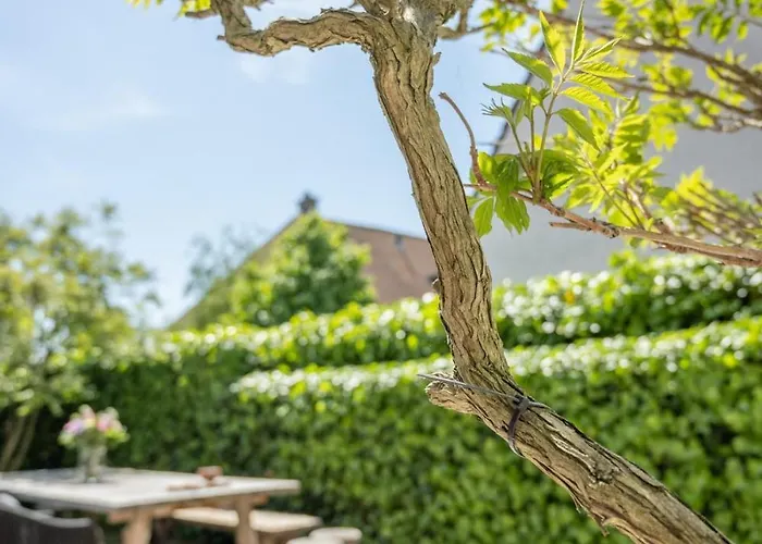 New Family Chic Design, Comfort & Outdoor Living - Free Parking Wifi Villa Knokke-Heist